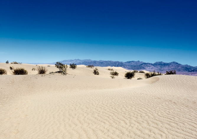 dunas