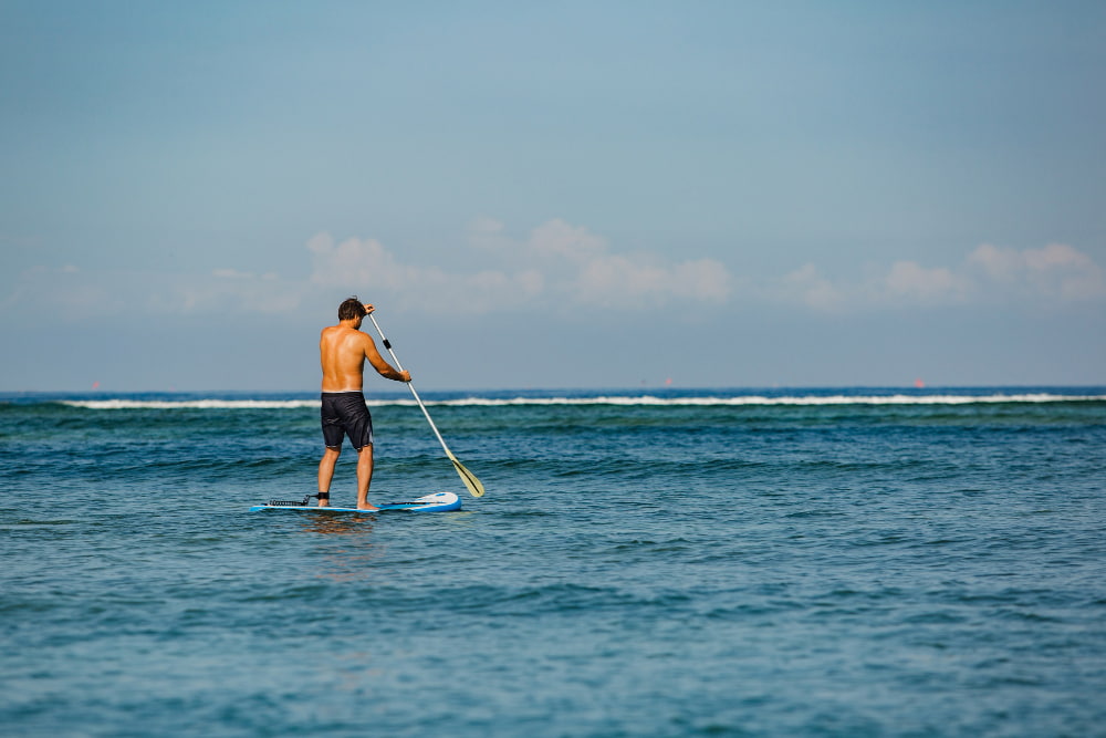 stand up paddle